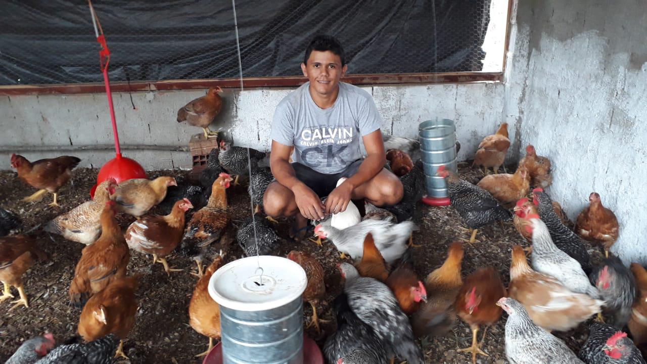 jovem produtor vende ovos caipiras por WhatsApp