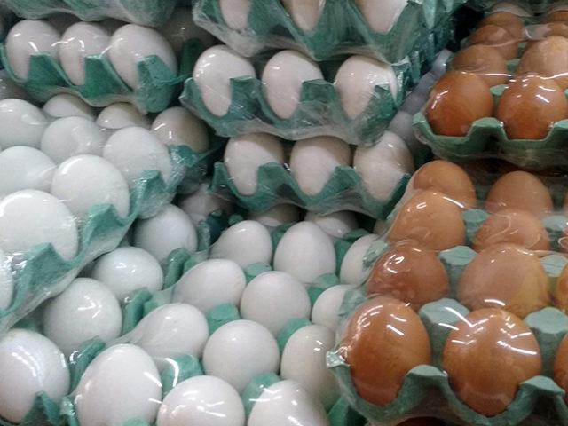 producción de huevos