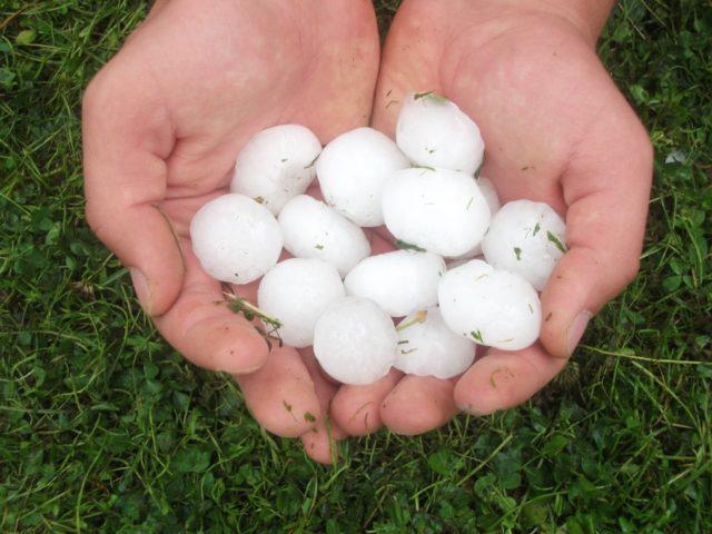 granizo nas mãos