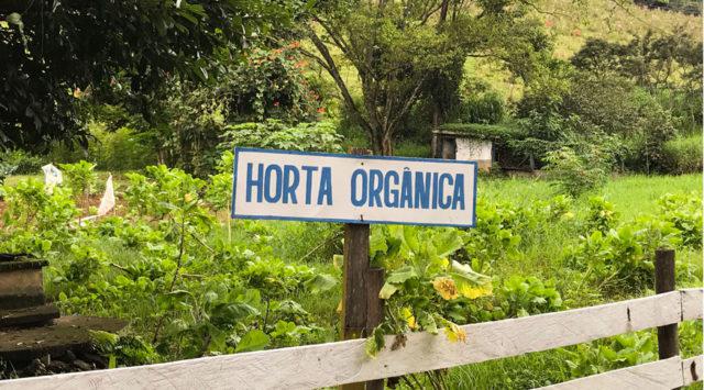 horta orgânica