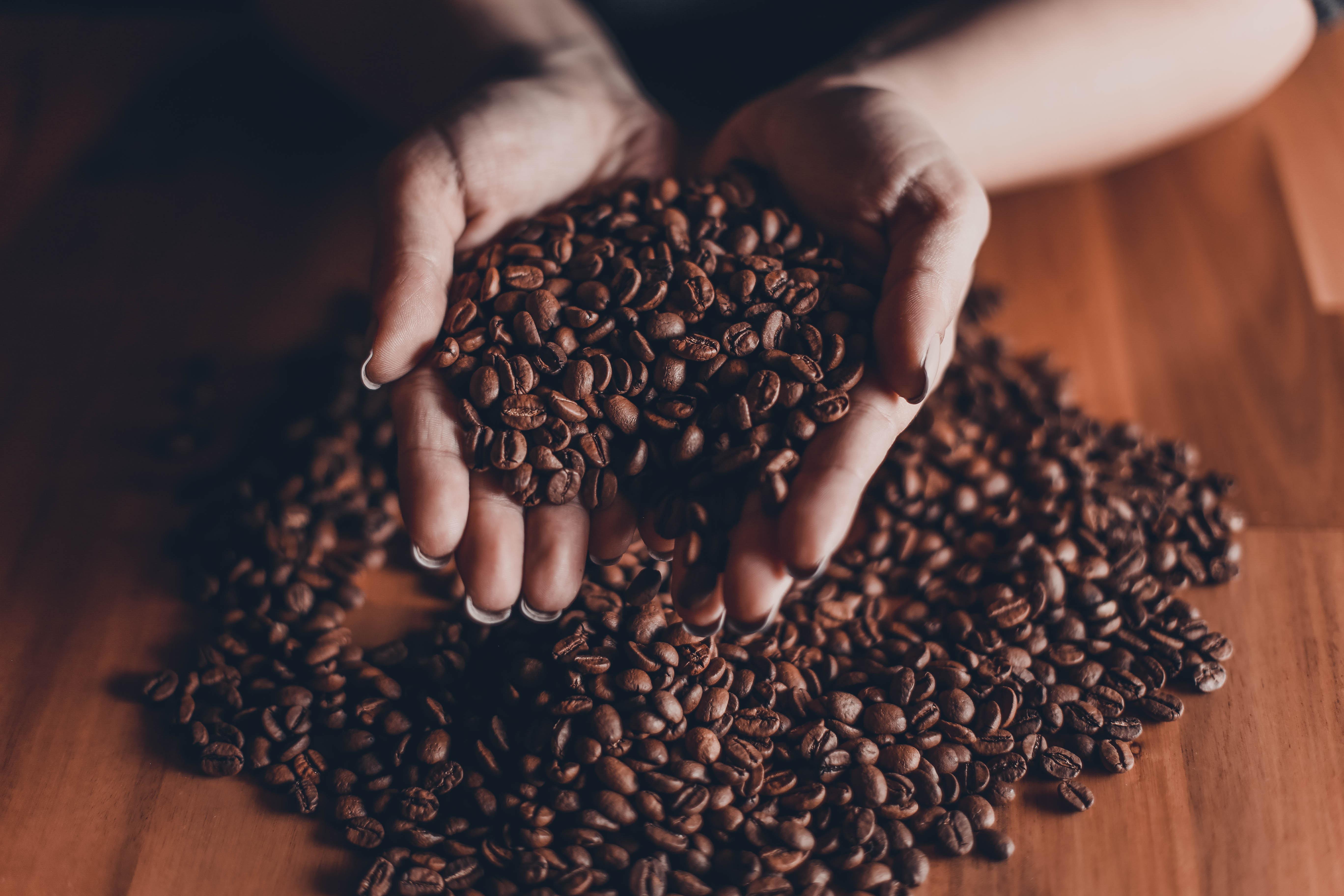 grãos de café em mãos femininas