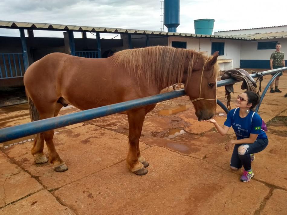 Bolsonaro sanciona lei da equoterapia, terapia com cavalos