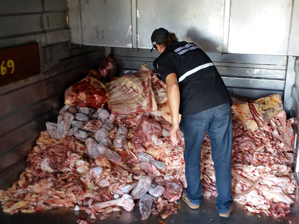 Polícia civil investiga roubo de gado e descobre venda ilegal de carne no Rio Grande do Sul