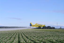 avião agrícola fazendo pulverização aérea aviões agrícolas