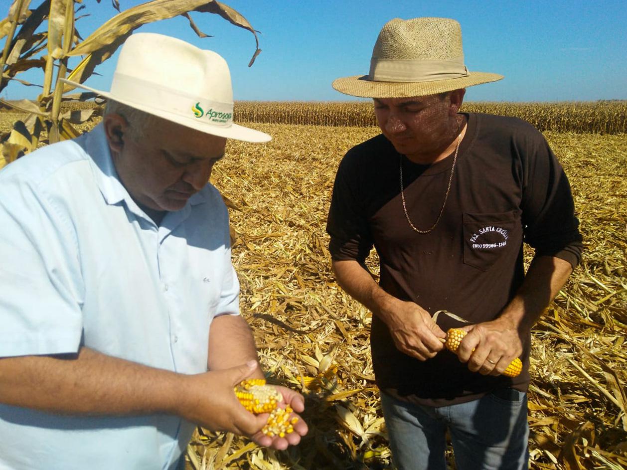 Produtor rural Clairton Pavlack (à direita) e o engenheiro agrônomo Naildo Lopes