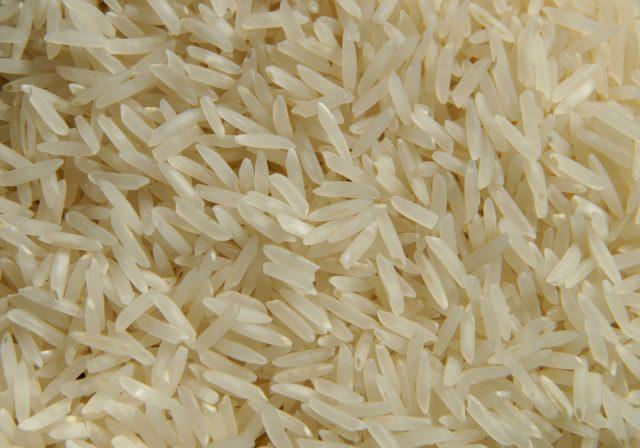 Produção de arroz contará com seguro