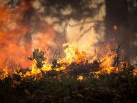 queimada, incêndios