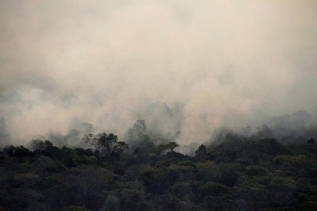queimada, Amazônia, incêndio, floresta amazônica