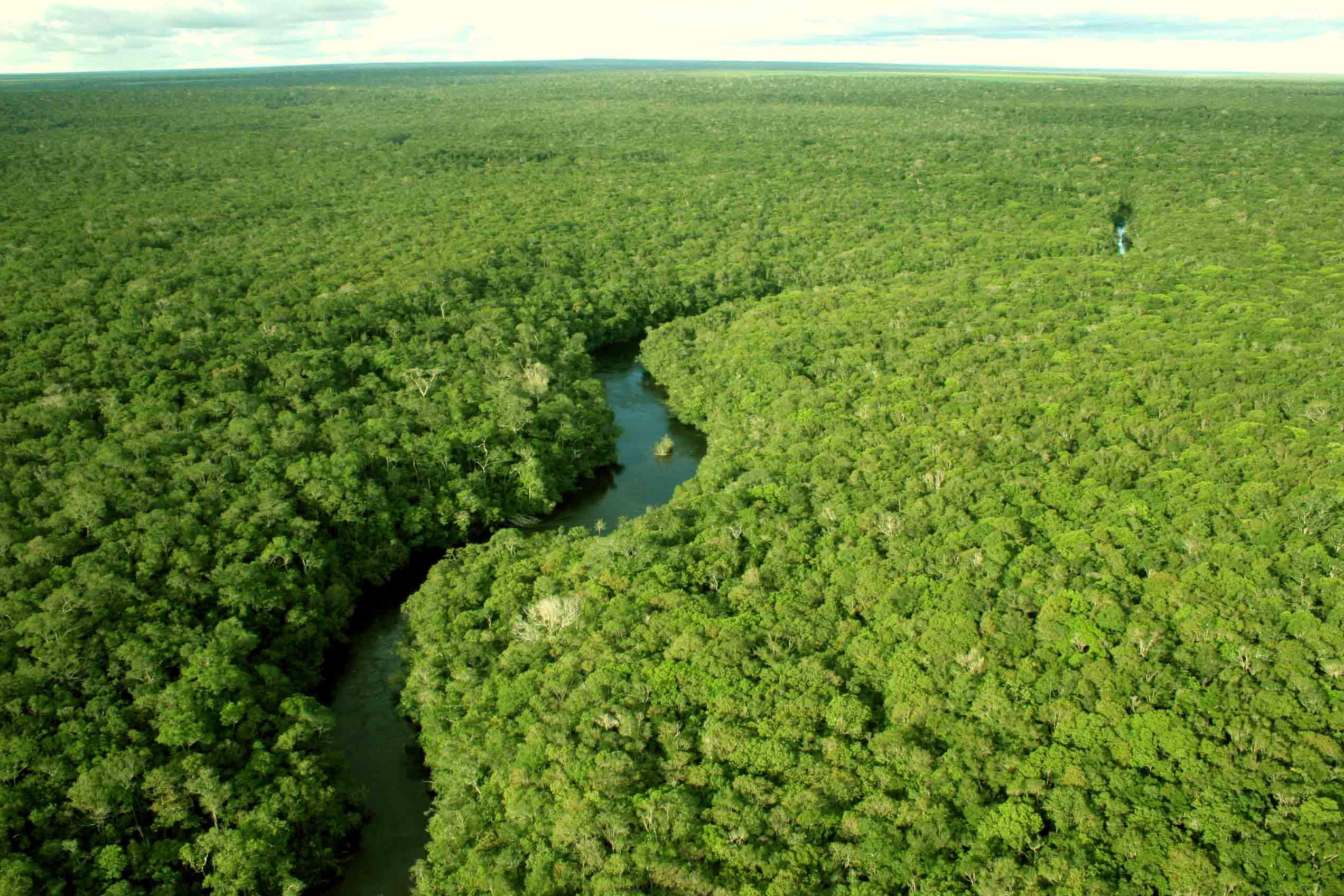 Amazônia: governo vai aumentar forças de segurança, diz ministro da Justiça