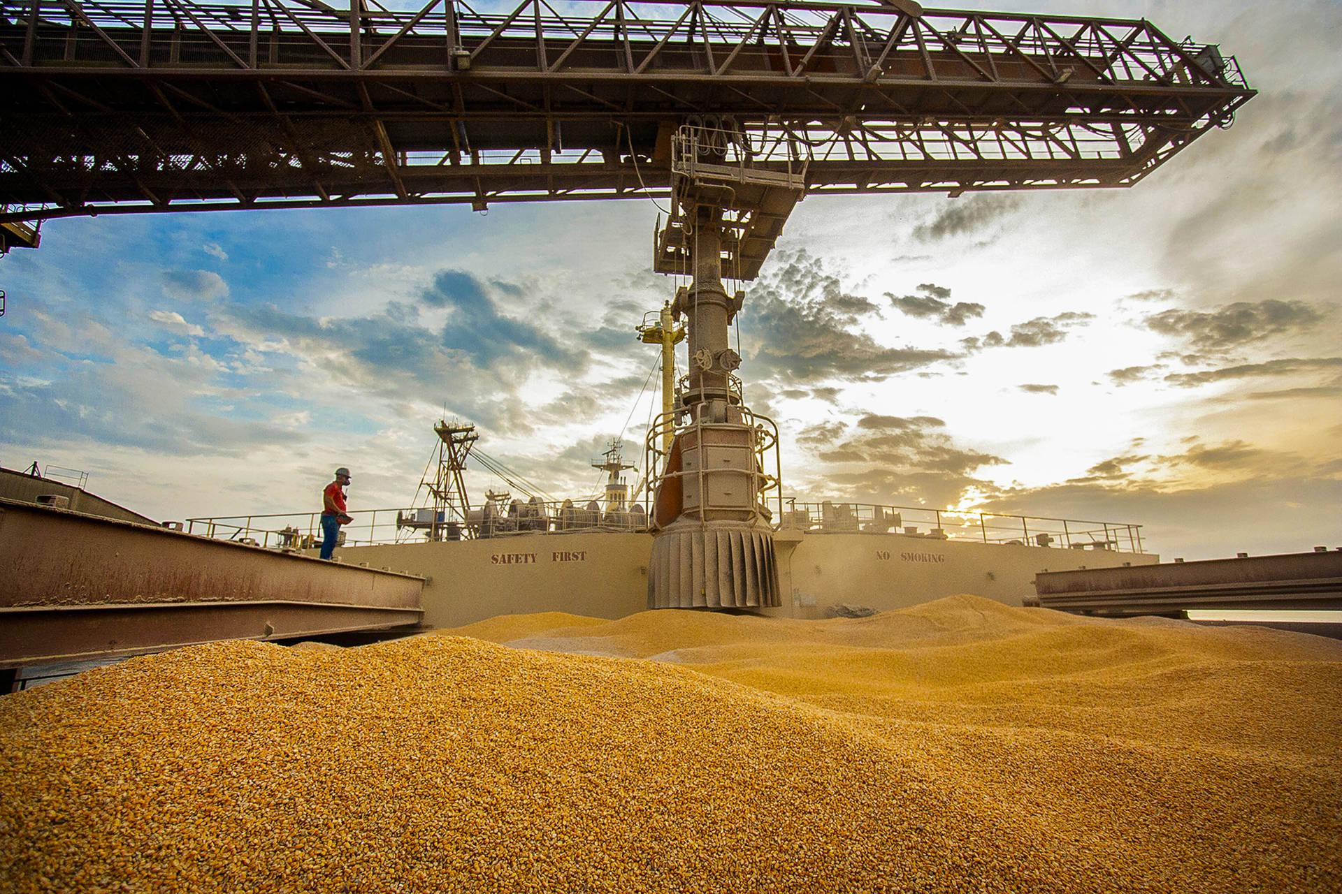 Zâmbia autoriza importação de milho brasileiro para aliviar crise alimentar