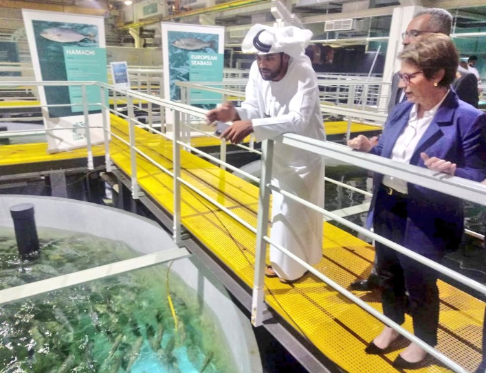 Ministra da Agricultura, criação de peixe, tanque de peixe, Emirados Árabes, Tereza Cristina