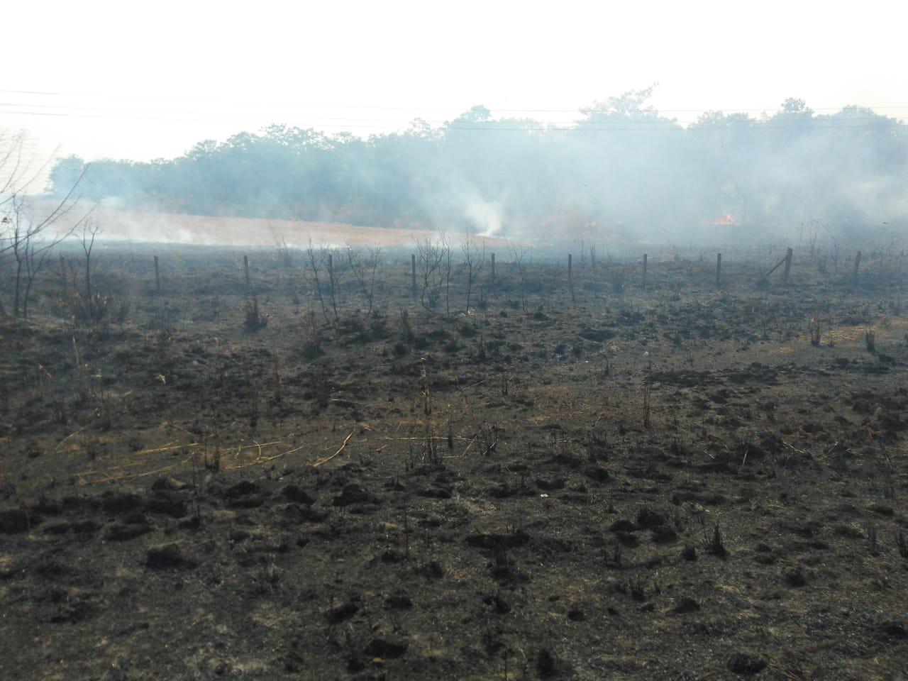 incêndio destrói palhada e prejudica solo de propriedade em MT