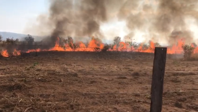 MT: fogo em aldeia se alastra e deixa prejuízo milionário em fazenda