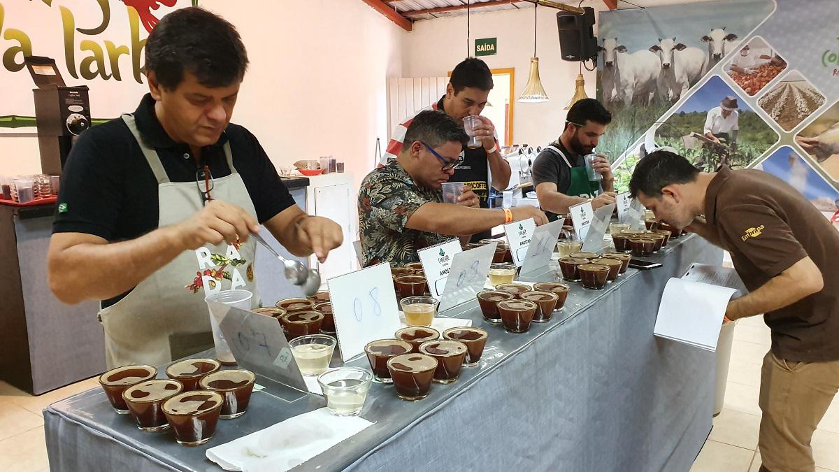 Indígenas se tornam produtores de cafés especiais na Amazônia
