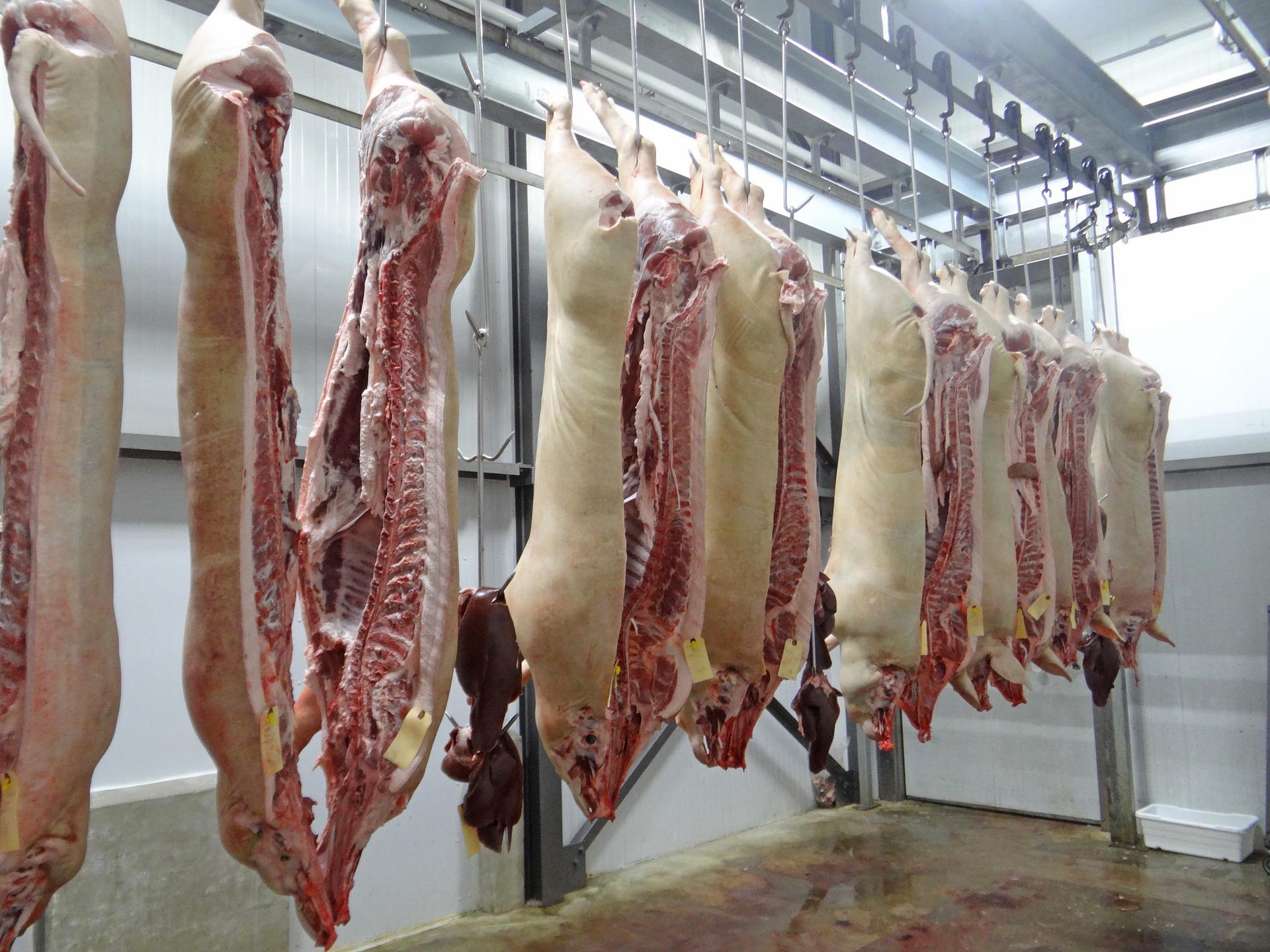 Exportações de carne suína do Brasil têm crescimento de 17,6% neste ano