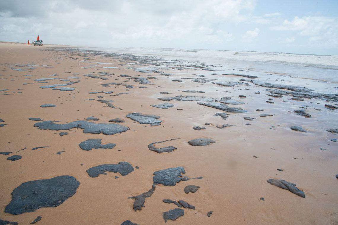 Manchas de óleo no litoral do Nordeste, seguro-defeso