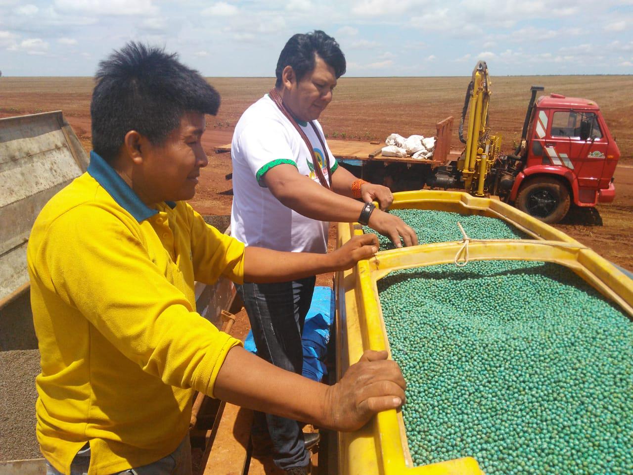 Índios de Mato Grosso conseguem autorização do Ibama para plantar soja