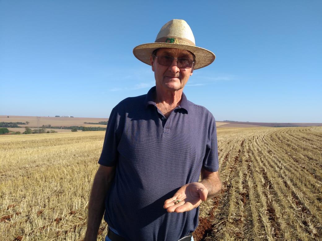 Nelson Del Galo teme ter perdido 30 hectares de soja plantados