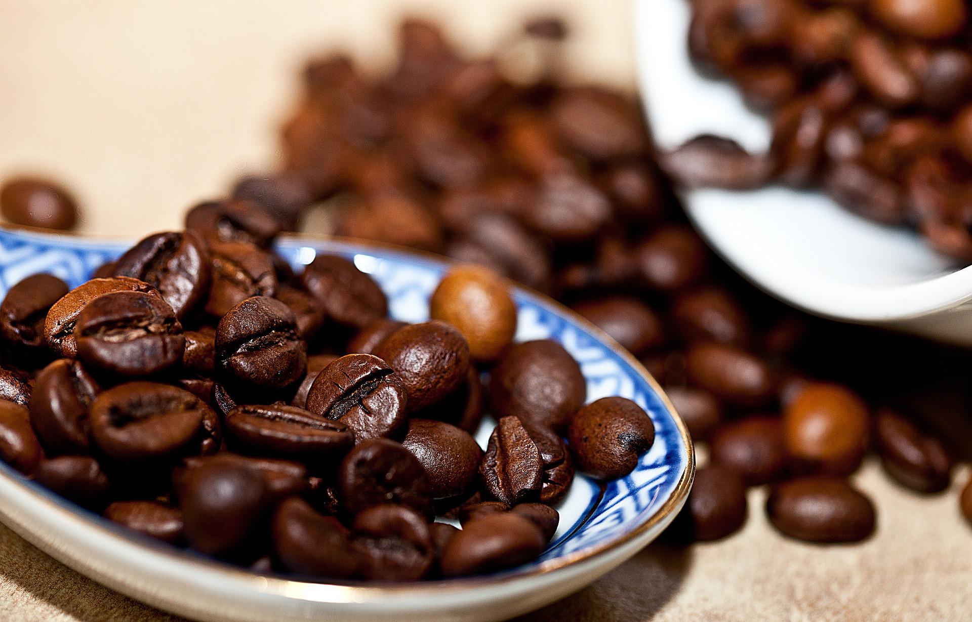 café; produção de café e grãos - arábica