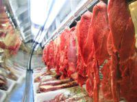 carne - exportações - china - embargo - preços
