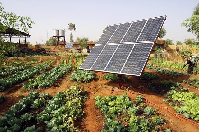 painel solar energia em plantação 