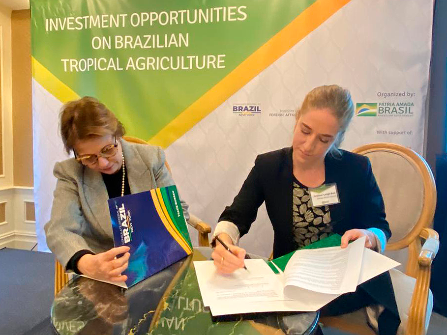 Tereza Cristina assina memorando para emissão de títulos verdes da agropecuária