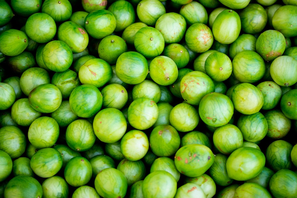 Fruto típico da Caatinga, bioma exclusivamente brasileiro, e presente no norte de Minas Gerais e todo o Nordeste, no semiárido, a produção de umbu na Bahia cresceu 2,7% ou mais 150 toneladas, chegando a 5.753 t em 2022.