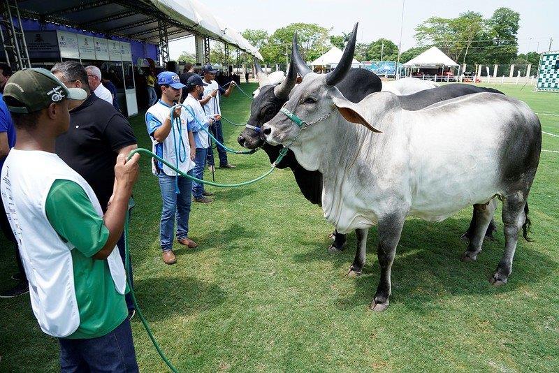 Expo Rio Preto