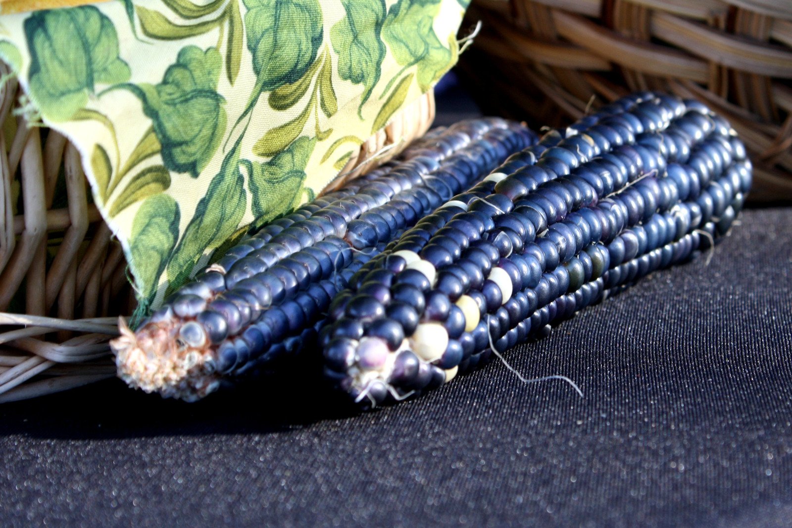 Milho azul: conheça nova variedade do grão produzido no México