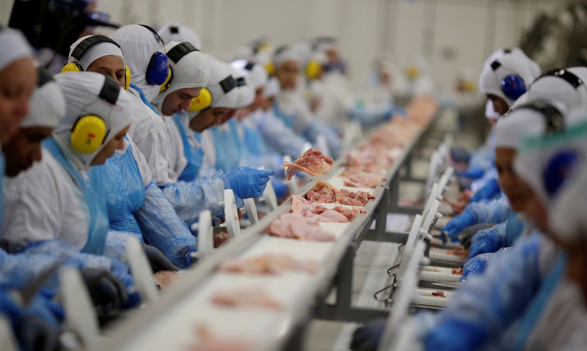 Gripe aviária: países retomam importação de frango brasileiro