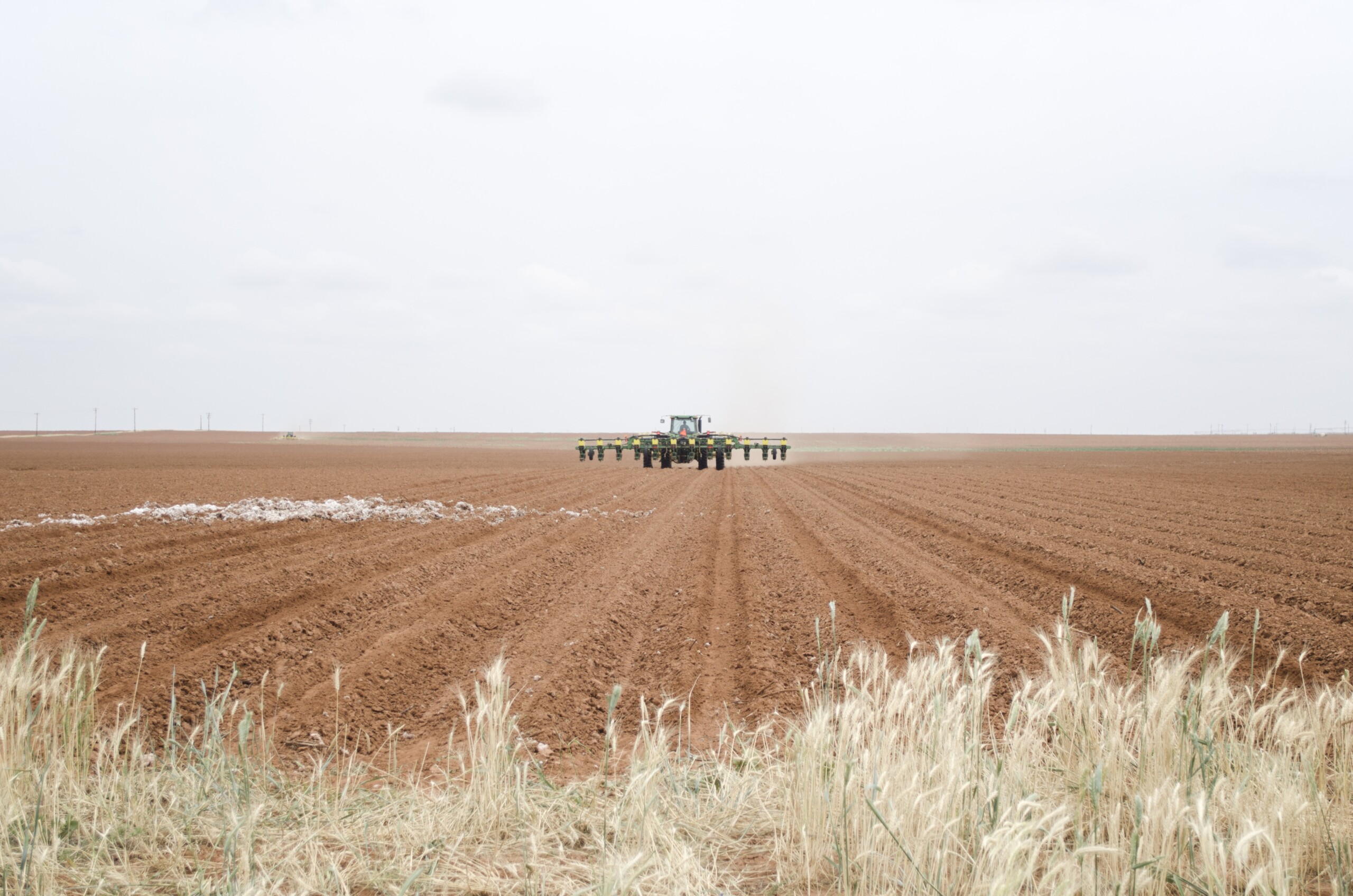 Comissão Técnica Regional do Algodão (CTR do Algodão) e instituições locais e estaduais, definiram a antecipação da semeadura do algodão de sequeiro, para a safra 2023-2024