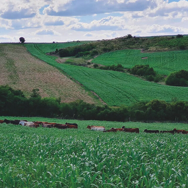 Inadimplência, produtor rural, Serasa