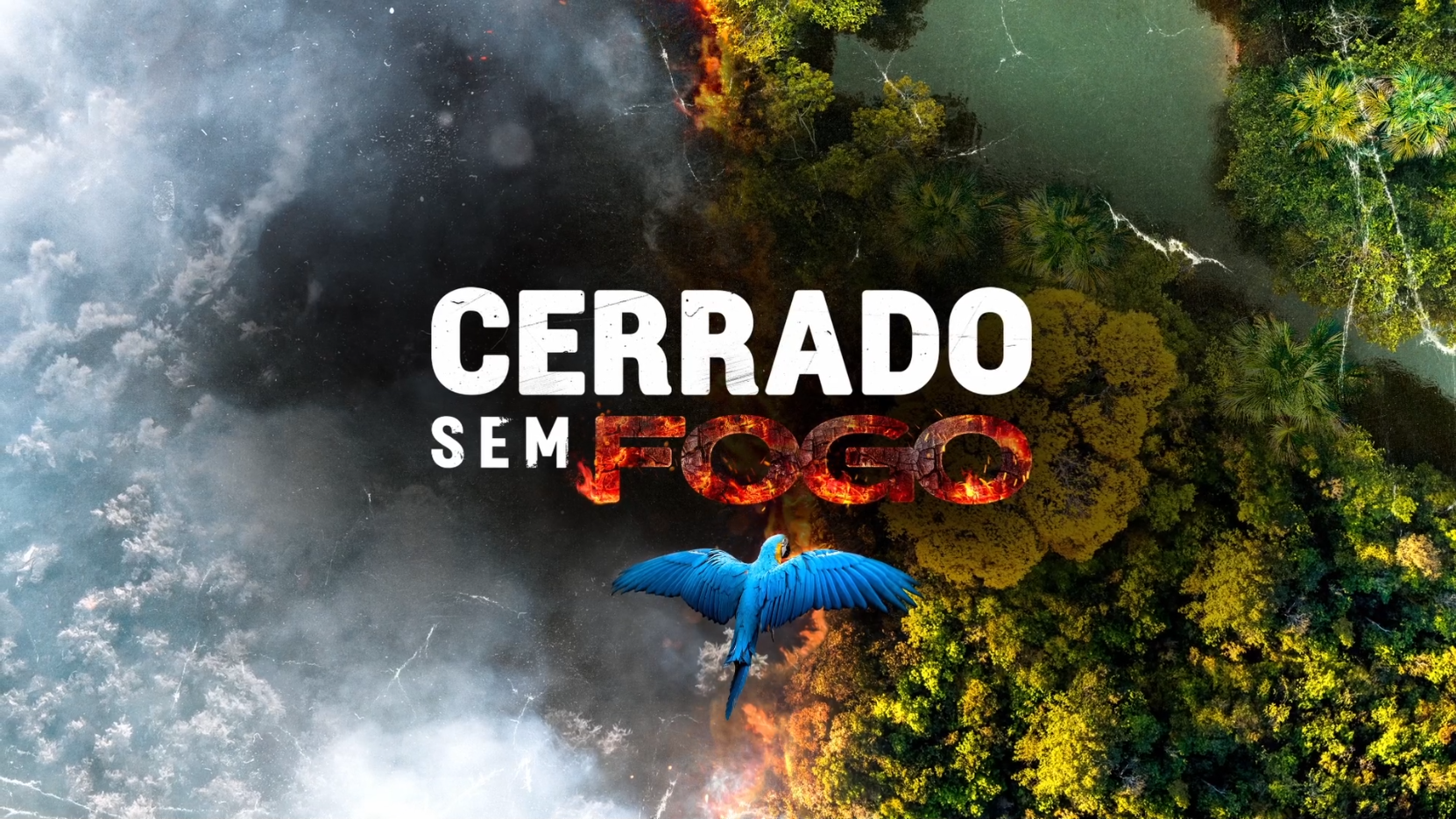 Série 'Cerrado Sem Fogo', produzida pelo Canal Rural BA, mostra os impactos das queimadas no cerrado brasileiro, segundo maior bioma do país