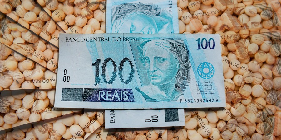 Cessar-fogo no Oriente Médio derruba ou aumenta os preços de soja no Brasil?