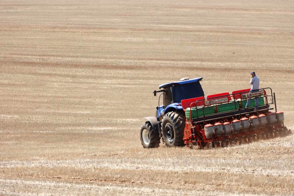 Plantio de soja atinge 8,2% no Brasil; veja avanço por estado
