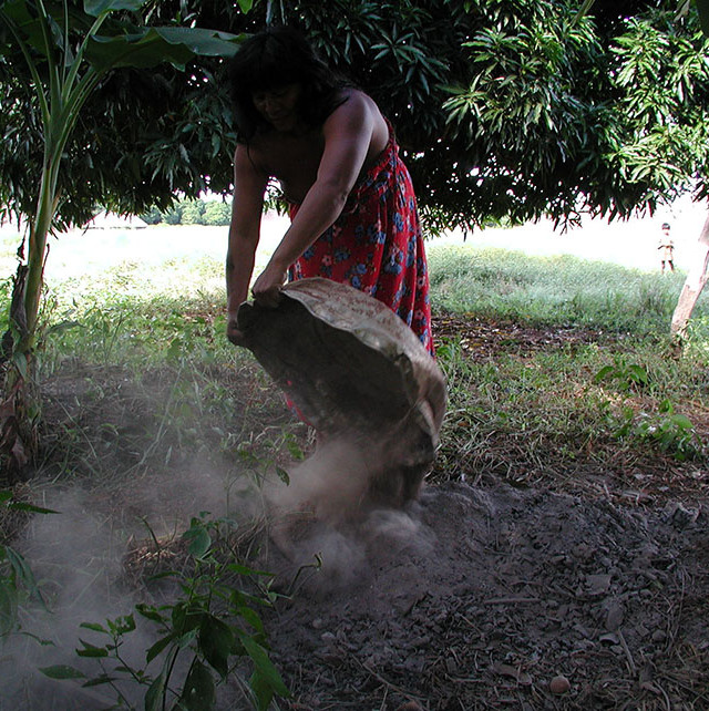 A Terra Preta de Índio é uma mistura de materiais orgânicos, como ossos, animais, peixes, cinzas, palhas, cascas e até excrementos humanos, que enriquece o solo