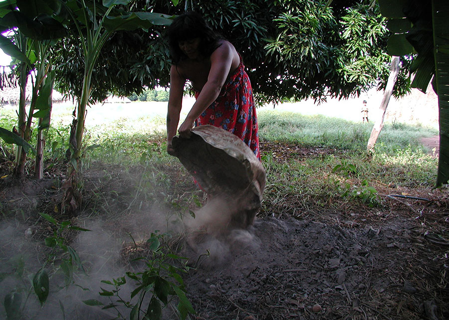 A Terra Preta de Índio é uma mistura de materiais orgânicos, como ossos, animais, peixes, cinzas, palhas, cascas e até excrementos humanos, que enriquece o solo