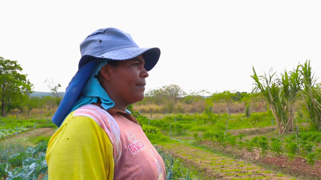 Dia Internacional da Mulher Rural, mulheres mostram força de trabalho no campo