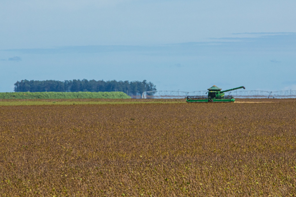 Estimativa aponta recorde na produção de grãos na Bahia Estimativa aponta recorde na produção de grãos na Bahia