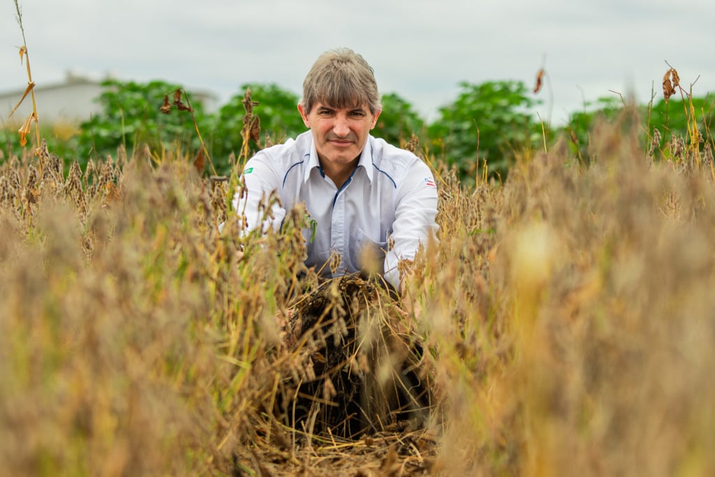 dia 23 de outubro passar a ser mais uma data comemorativa para agricultura brasileira como o Dia Nacional do Sistema de Plantio Direto.