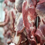 Arroba do boi gordo caiu até 6,5% em setembro, mas deve reagir em outubro