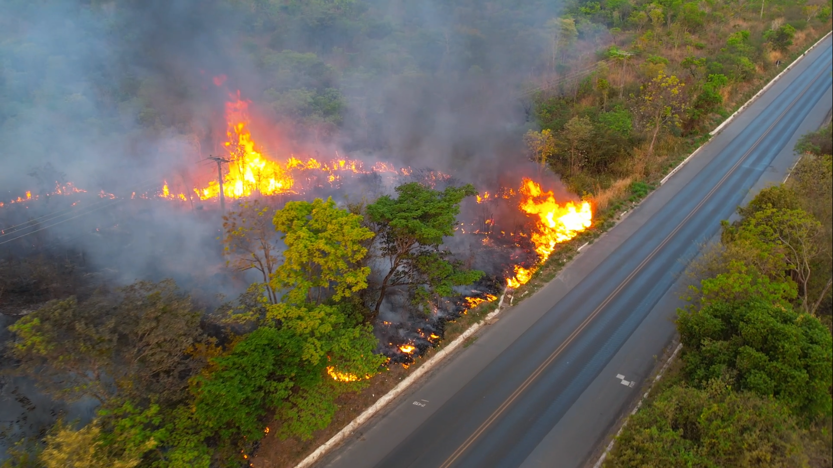 Série Cerrado Sem Fogo mostra os impactos da fumaça das queimadas na saúde das pessoas que residem nas cidades ou nas zonas rurais do Cerrado