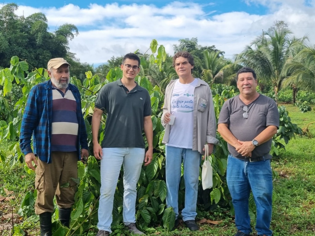 Variedade BRS Noçoquém é nova promessa de aumento de produtividade do guaraná na Bahia