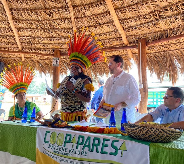 senadores, mato grosso, agricultura