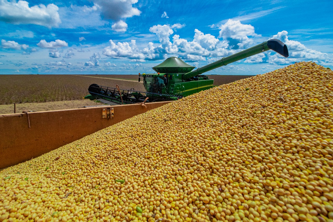 Produtores de soja do oeste da Bahia têm até este domingo para cadastro de plantio antecipado