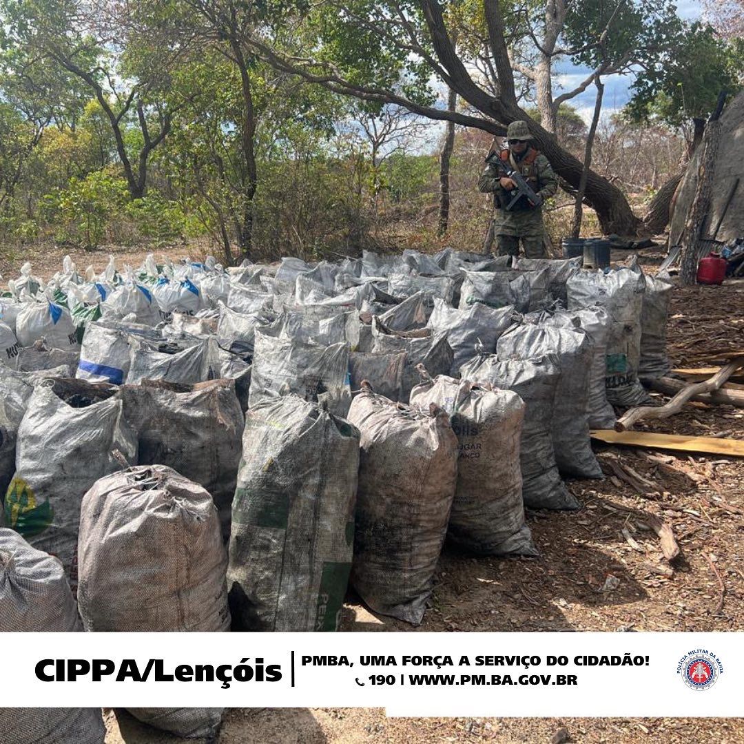 Polícia Militar da Bahia, em parceria com o Instituto do Meio Ambiente e Recursos Hídricos (Inema), apreendeu na tarde desta terça-feira (7), sete toneladas de carvão vegetal ilegal e uma arma de fogo no Oeste Baiano.