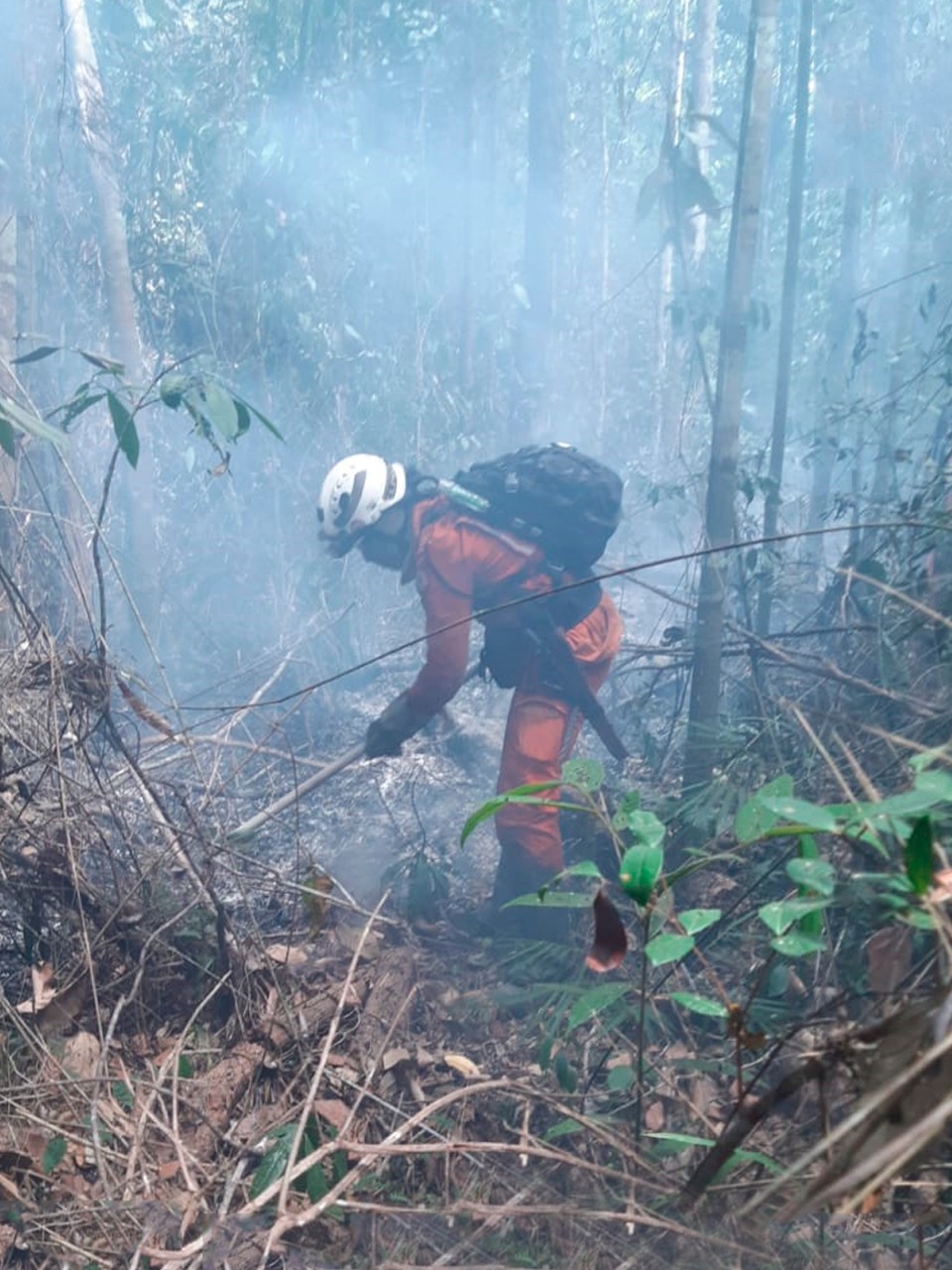 Reforço é enviado para combate a incêndios florestais no sul da Bahia. Fogo atinge Parque Nacional e Histórico do Monte Pascoal área de Mata Atlântica