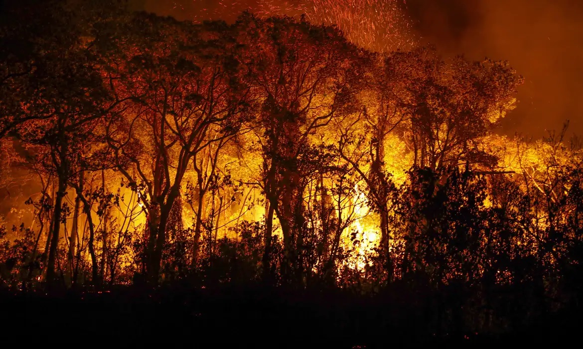 incendio Pantanal