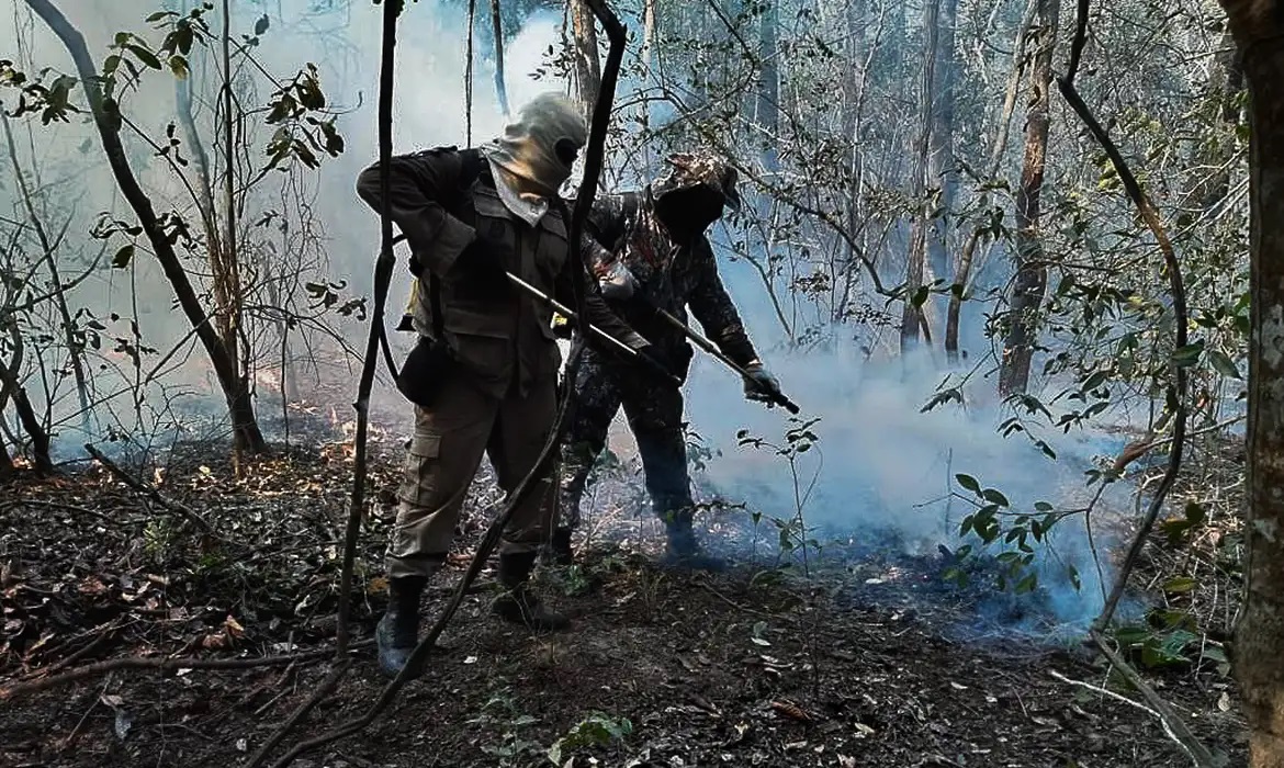 Dois estados decretam emergência em razão de incêndios no Pantanal