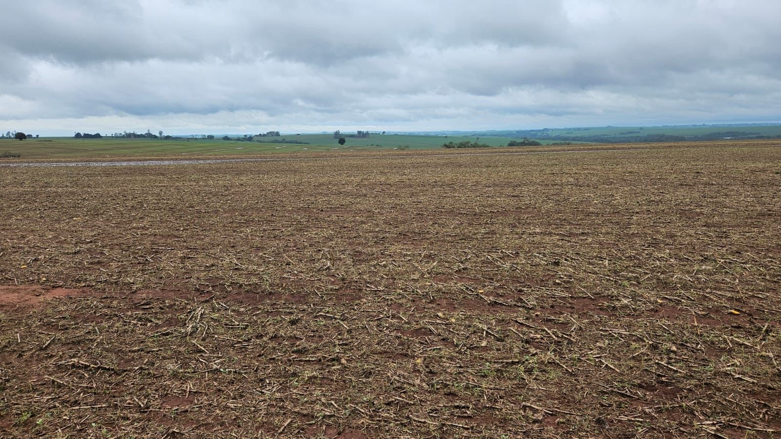 lavoura parana tempo destruicao